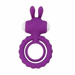 Cheapest ✔️ Best Couples Sex Toys Love Moment Double Disc Rabbit Vibrating Cock Ring Purple 🤩